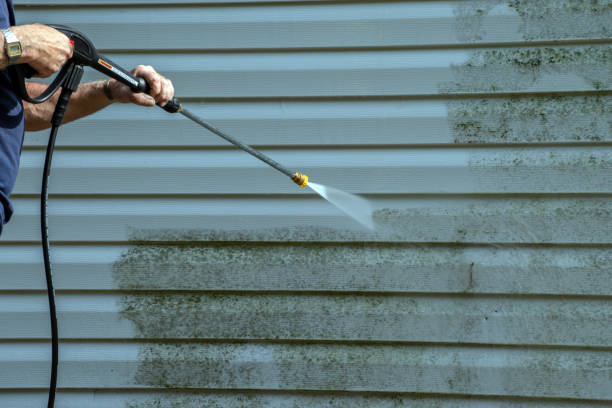 Best Roof Pressure Washing  in Chetopa, KS